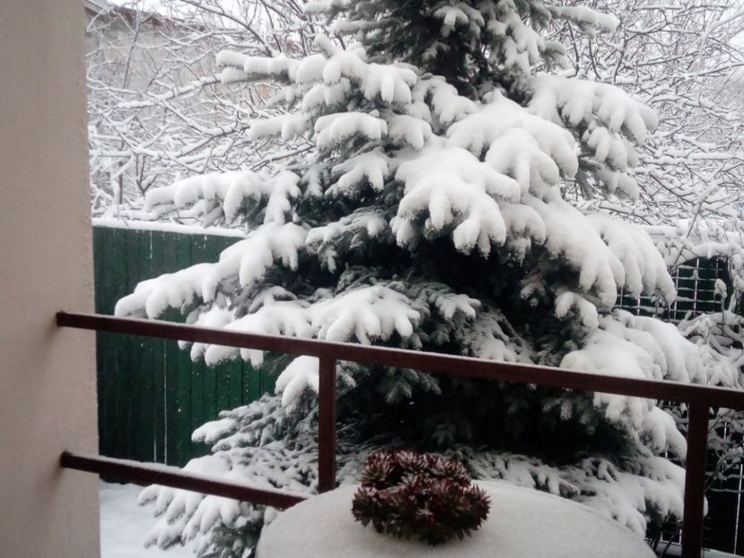 12.02.2021 - 1Iarna 2020-2021