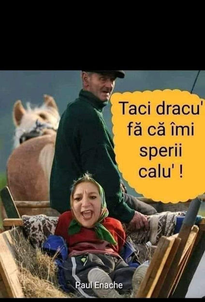  - Bancuri cu Moldoveni