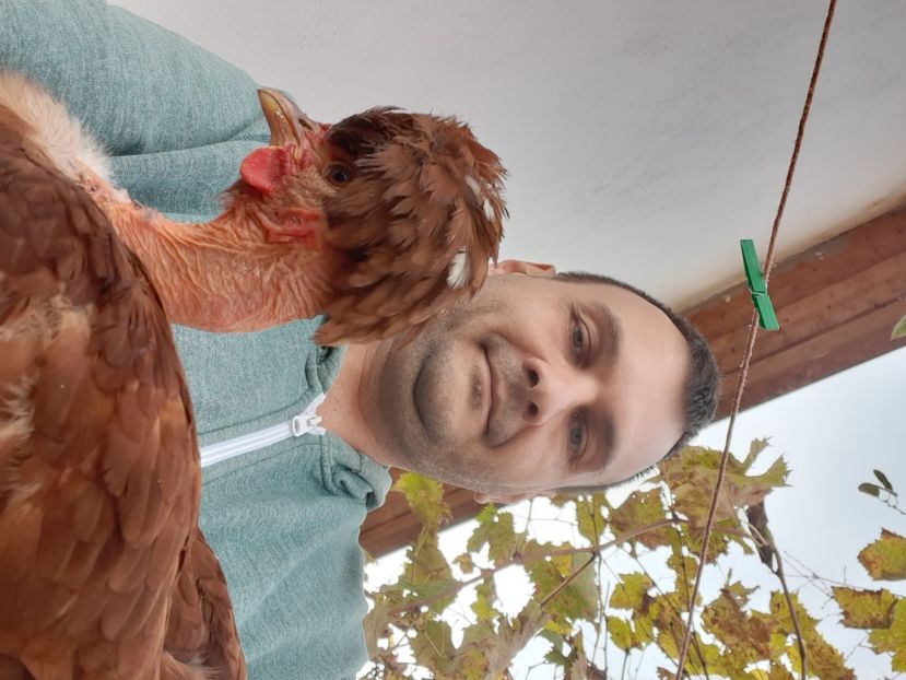  - Păsări pentru 2021
