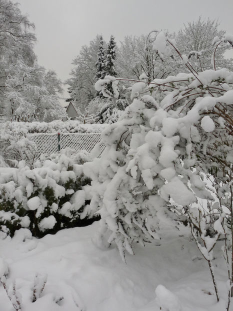  - 2020 - 04 - 2021 - 00 - Iarna