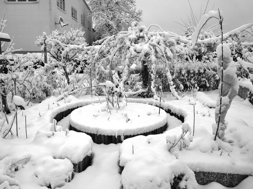 12.02.2021, -17°C - 2020 - 04 - 2021 - 00 - Iarna