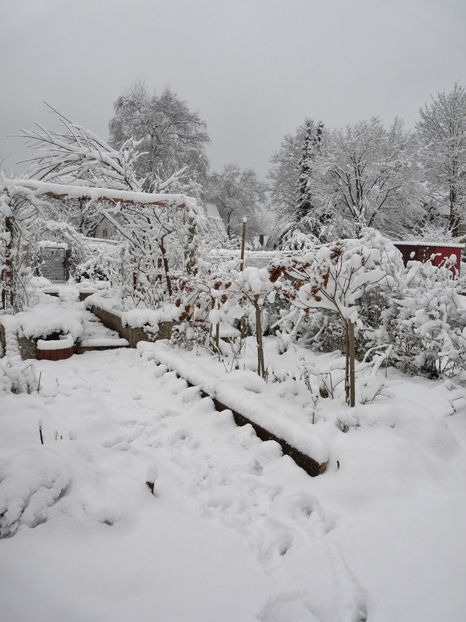  - 2020 - 04 - 2021 - 00 - Iarna