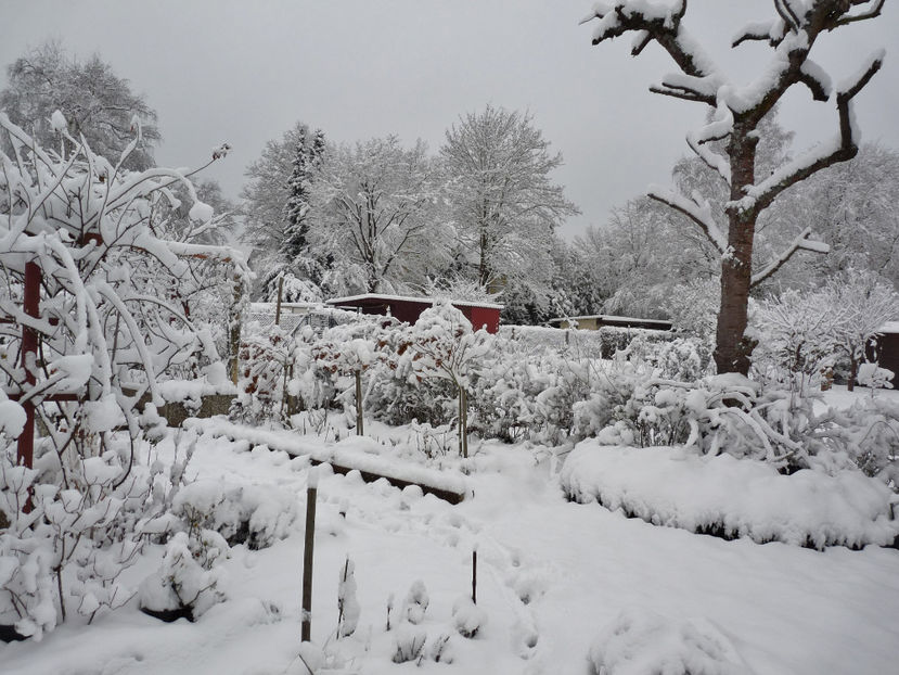  - 2020 - 04 - 2021 - 00 - Iarna