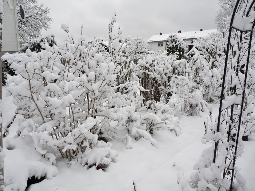  - 2020 - 04 - 2021 - 00 - Iarna