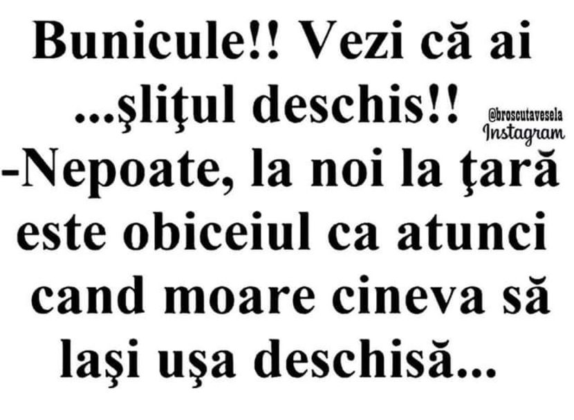 - Divertisment 2