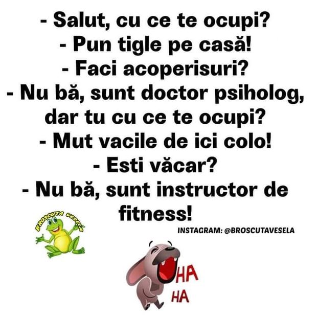  - Divertisment 2