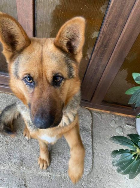 received_256913975793805 - Kira