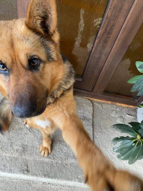 received_1343680429319196 - Kira