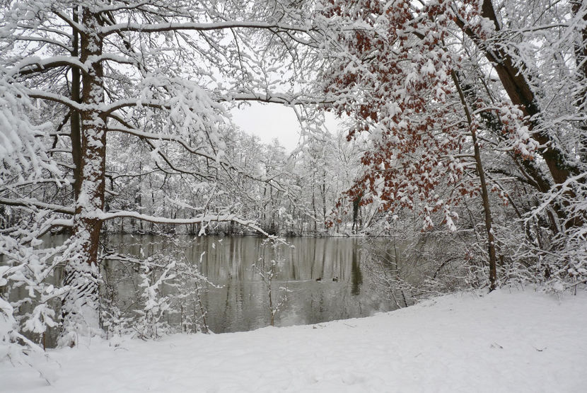  - 2020 - 04 - 2021 - 00 - Iarna