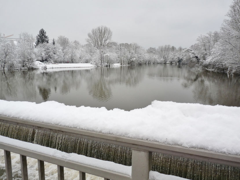  - 2020 - 04 - 2021 - 00 - Iarna