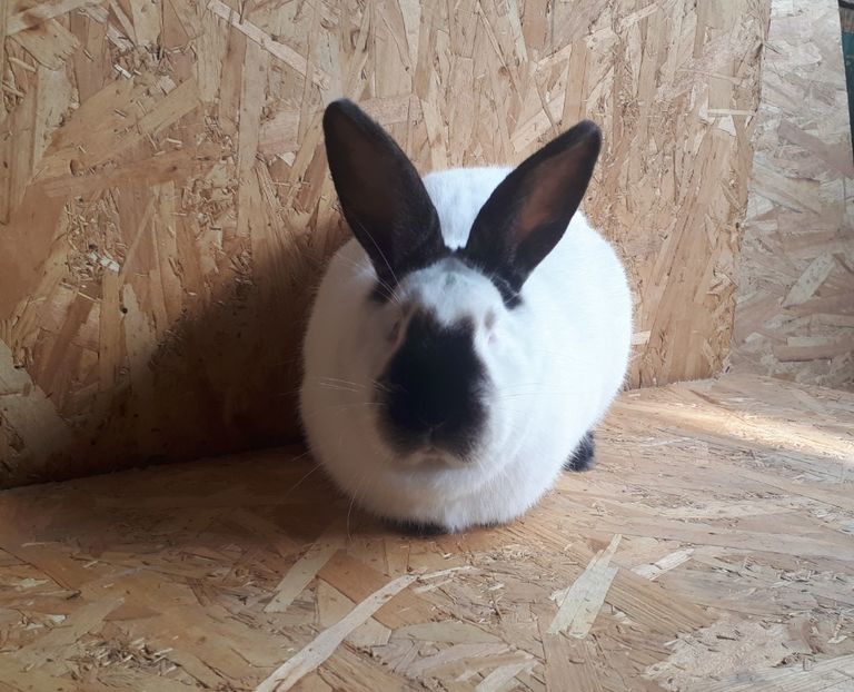 Vândută - DE VANZARE -2023