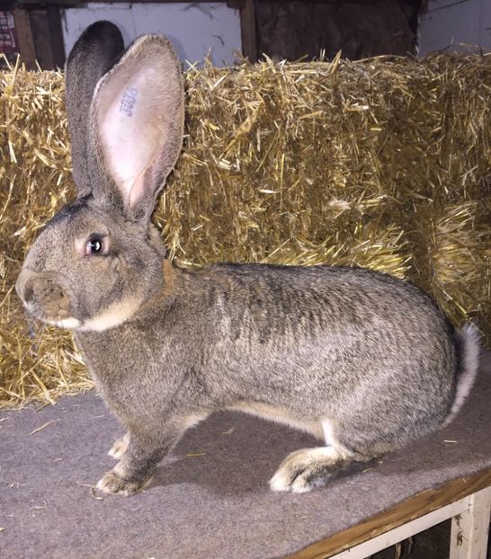 E8AAAD3E-7315-4812-8E1D-FFCB30A6A6FB - RO 8-3036