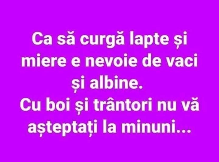  - Divertisment 2