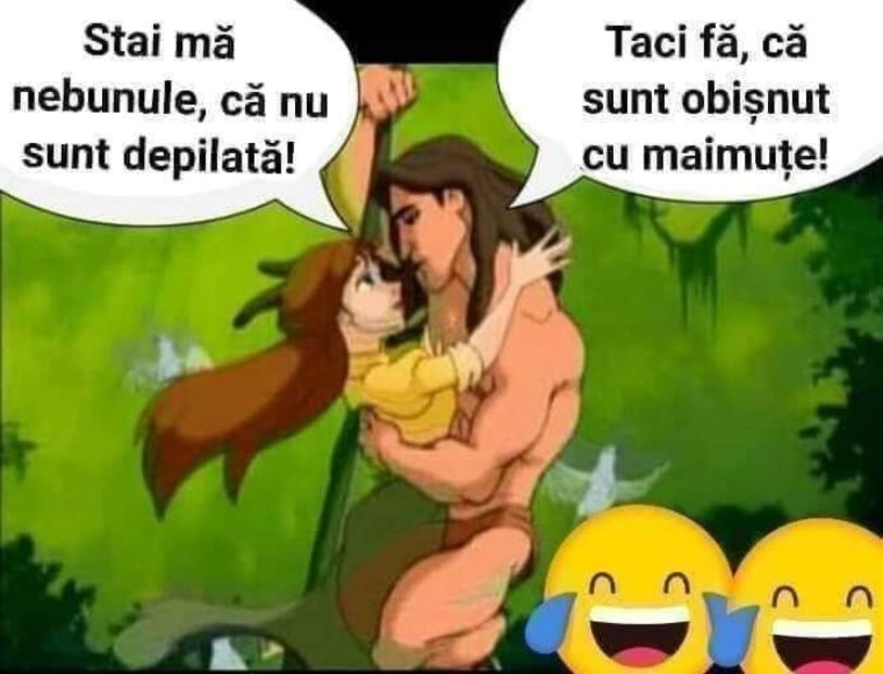  - Divertisment 2