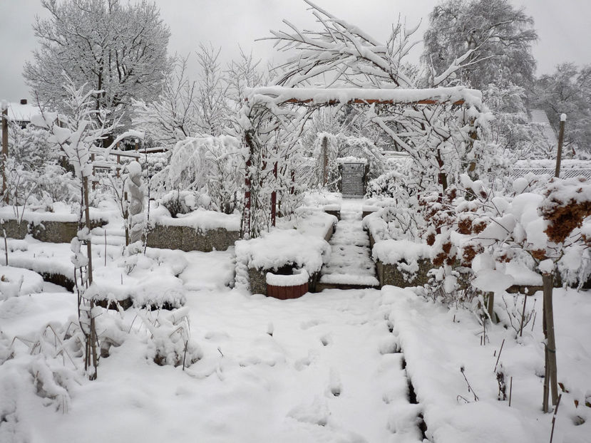 15.02.2021, -11°C - 2020 - 04 - 2021 - 00 - Iarna