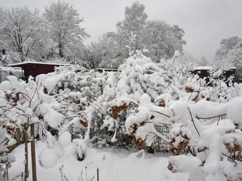  - 2020 - 04 - 2021 - 00 - Iarna