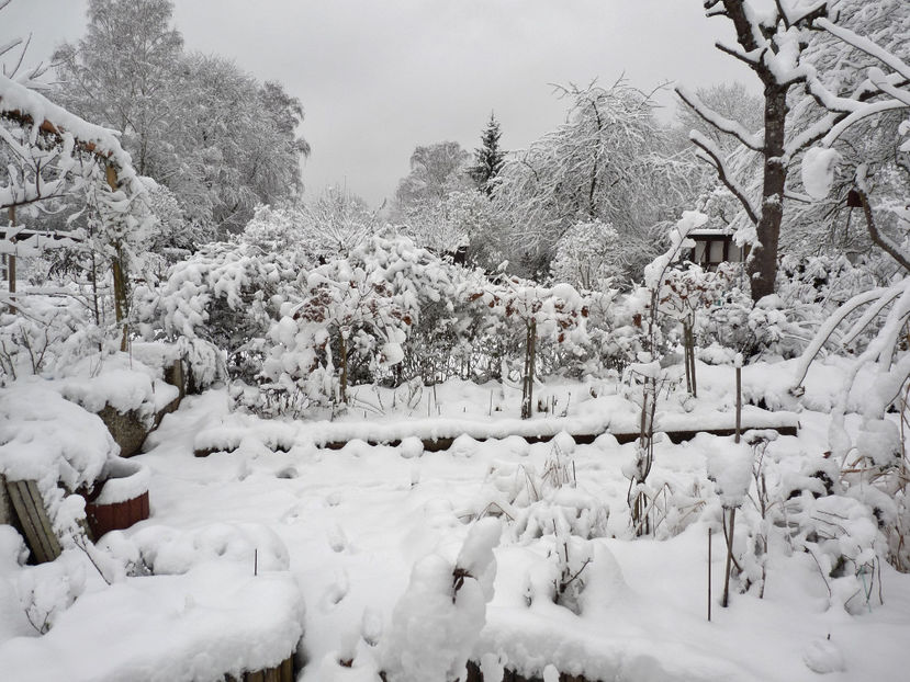  - 2020 - 04 - 2021 - 00 - Iarna