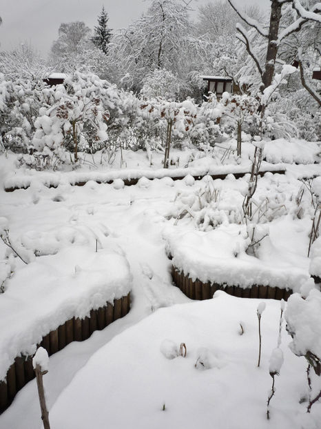  - 2020 - 04 - 2021 - 00 - Iarna