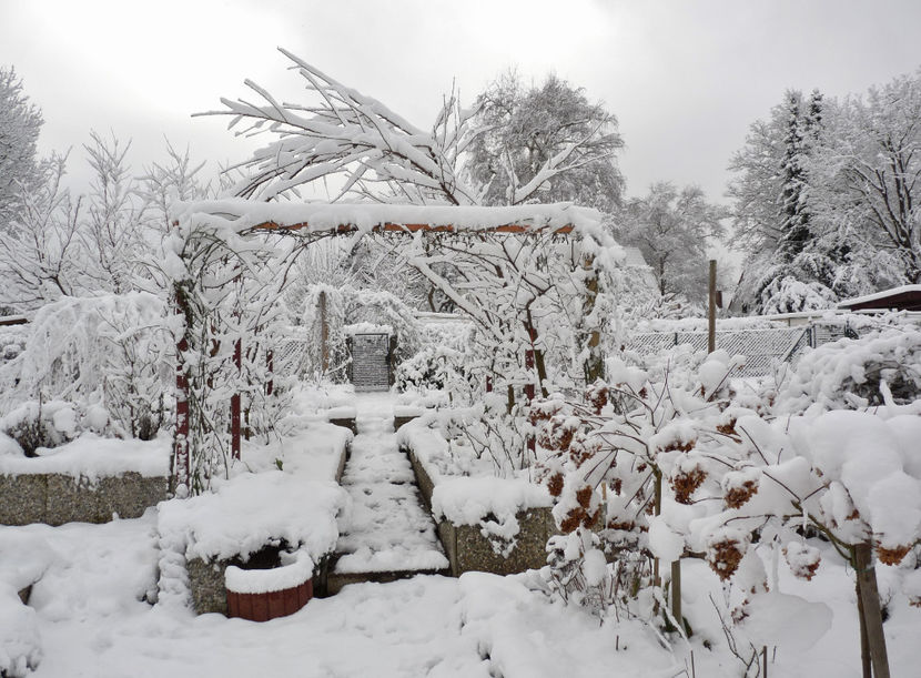  - 2020 - 04 - 2021 - 00 - Iarna