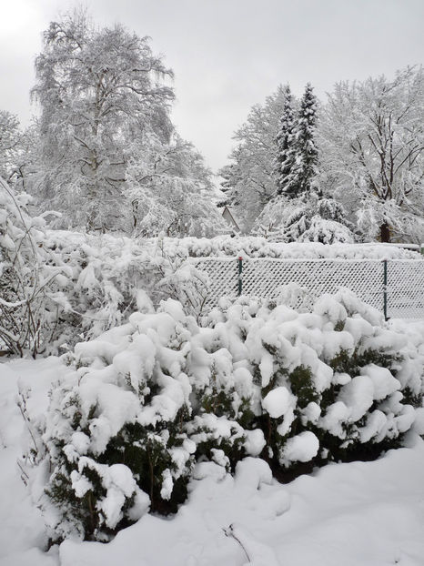  - 2020 - 04 - 2021 - 00 - Iarna