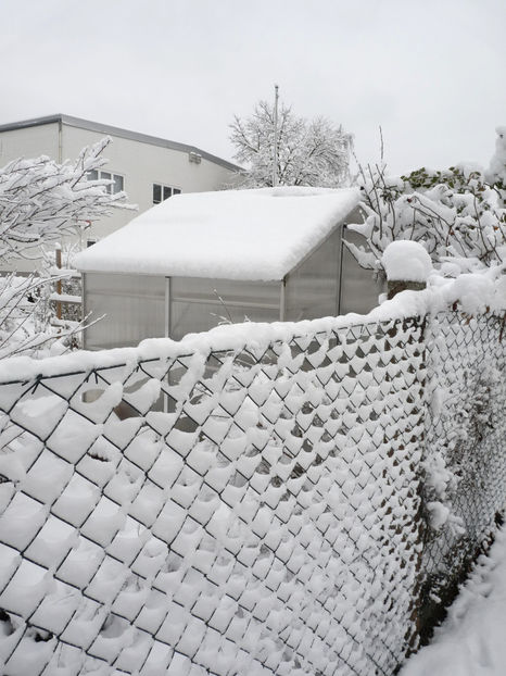  - 2020 - 04 - 2021 - 00 - Iarna