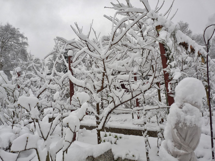  - 2020 - 04 - 2021 - 00 - Iarna