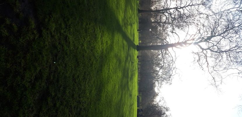  - Londra 2020