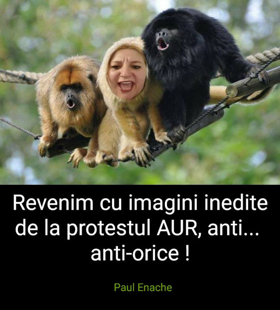 145670994_798728557381754_2407638802304810183_o - Bancuri cu Moldoveni