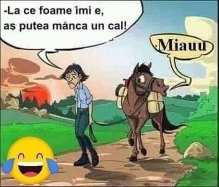  - Divertisment 2