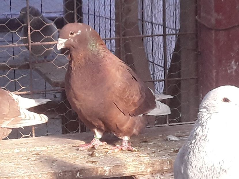 20210216_155210(0) - CONTACT