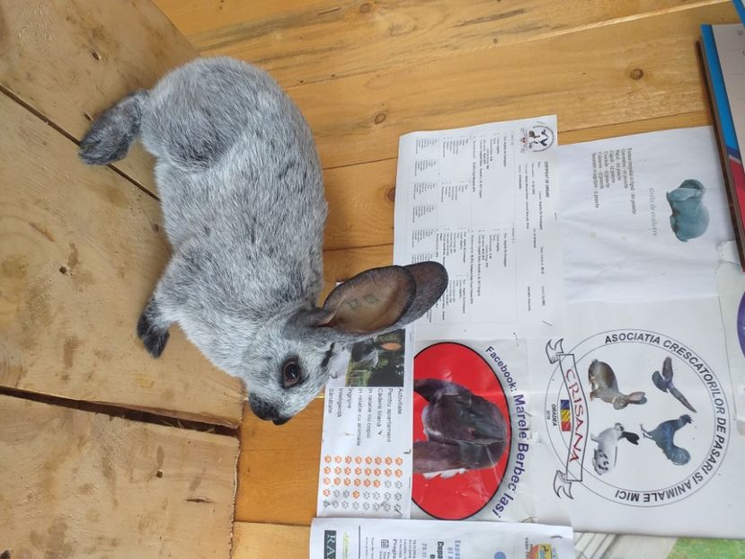 20200704_174444(0) - Argintiu de Champagne 2020-2021