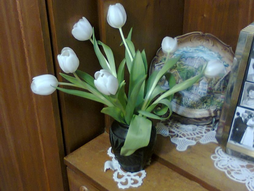 Fotografie5923 - 2021 FLORILE IUBIRII februarie