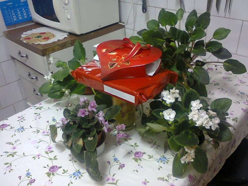 841144_4650732714733_750919349_o - 2021 FLORILE IUBIRII februarie