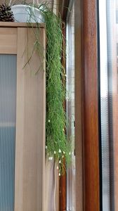  - Ianuarie-februarie