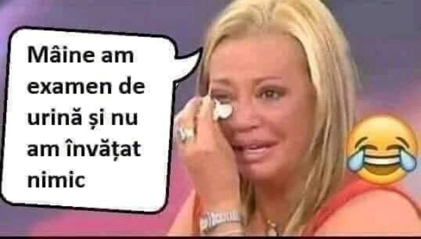  - Divertisment 2