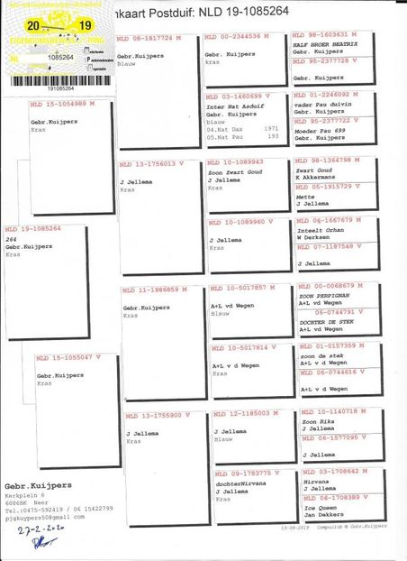 NL2019-1085264 PED - Matca 2021