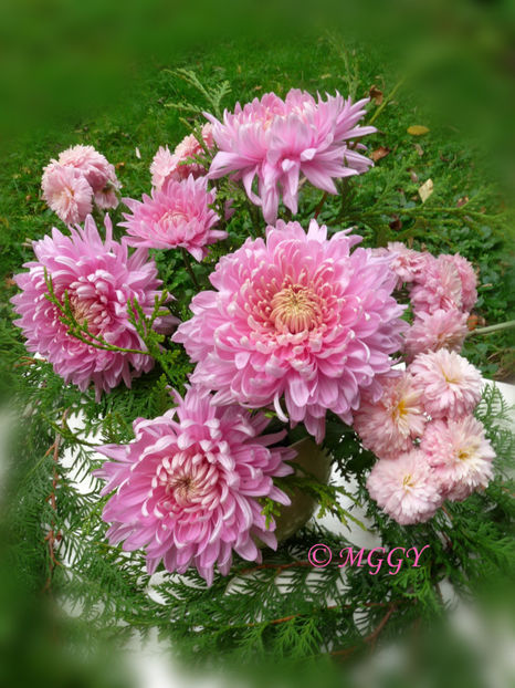 © - 01 - Floristica