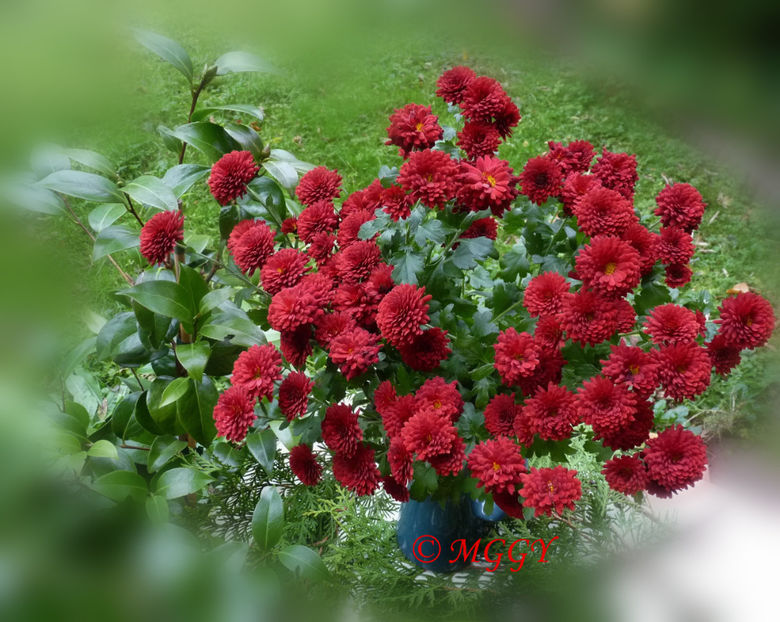 © - 01 - Floristica