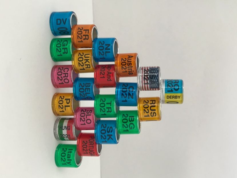 2F8C455D-7CFA-4806-BE9B-39F2AAFA27BE - Inele Porumbei Tari straine 2021