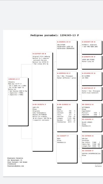 Top - Starurile-Pedigree