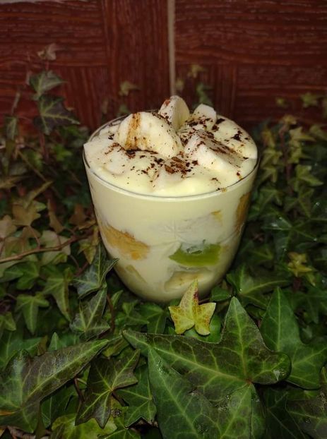  - Tiramisu cu fructe si biscuiti de casa