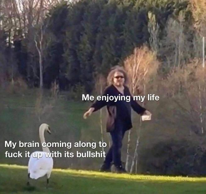  - am i too good to be gone