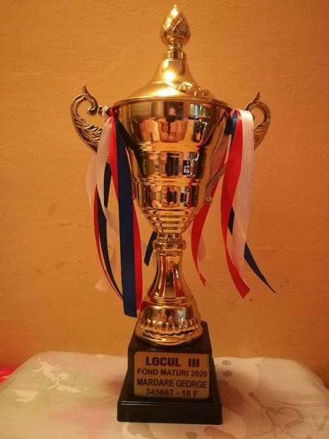 Locul 3 cat. Fond - Cupe