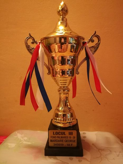 Locul 3 cat.Palmares Fond - Cupe