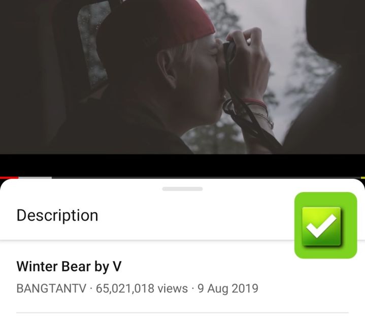 (BTS) SOLO V-Winter Bear ! 65.M ✅ - BTS -SOLO - SUPPORT