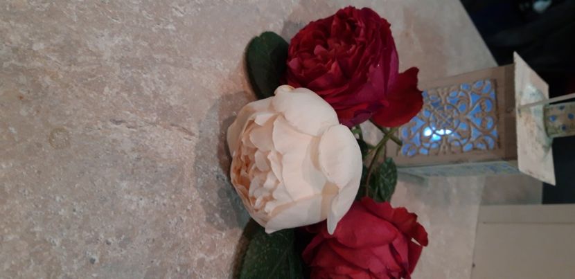  - wollerton old hall si red eden