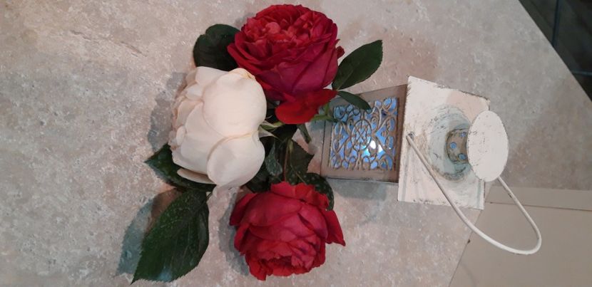  - wollerton old hall si red eden