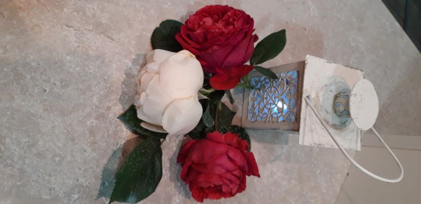  - wollerton old hall si red eden