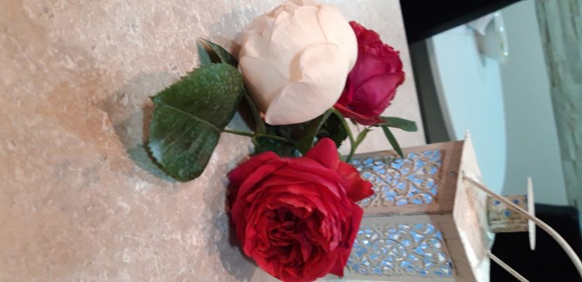  - wollerton old hall si red eden