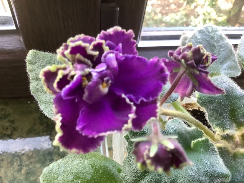 A292BBFC-35E9-40B6-8F61-6A71868853B1 - LE Nochnoe Randevu